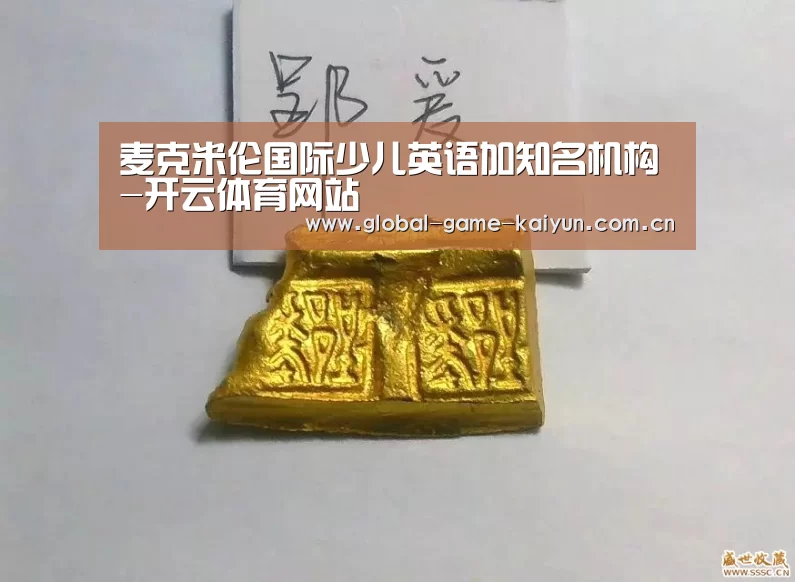 麦克米伦国际少儿英语加知名机构-开云体育网站(图2) 开云体育网站