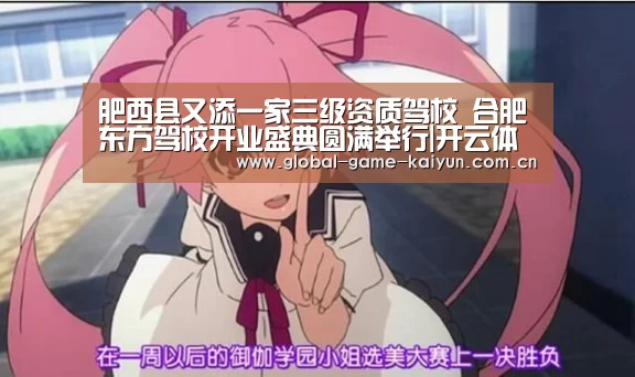 肥西县又添一家三级资质驾校 合肥东方驾校开业盛典圆满举行|开云体育网站(图4) 开元棋牌网址