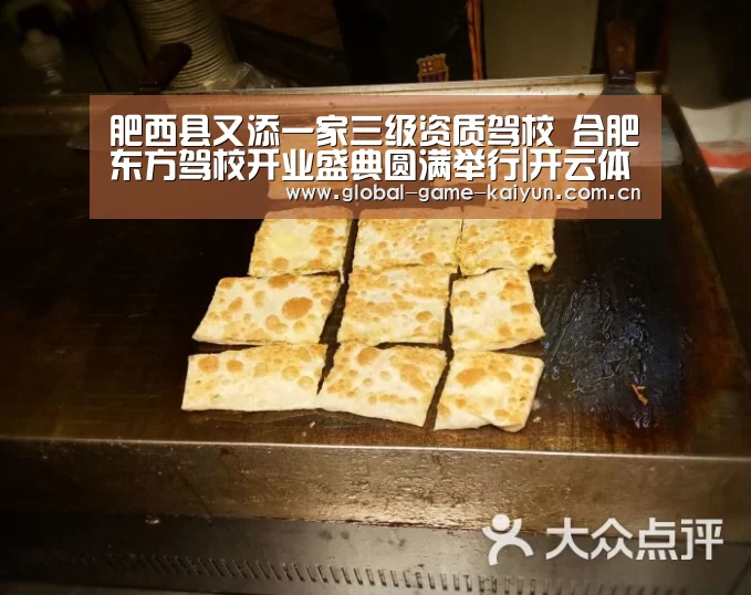 肥西县又添一家三级资质驾校 合肥东方驾校开业盛典圆满举行|开云体育网站(图1) 惊喜不断。开云体育内容丰富