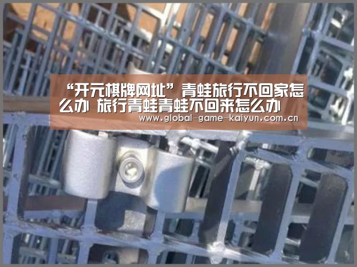 开云体育网站